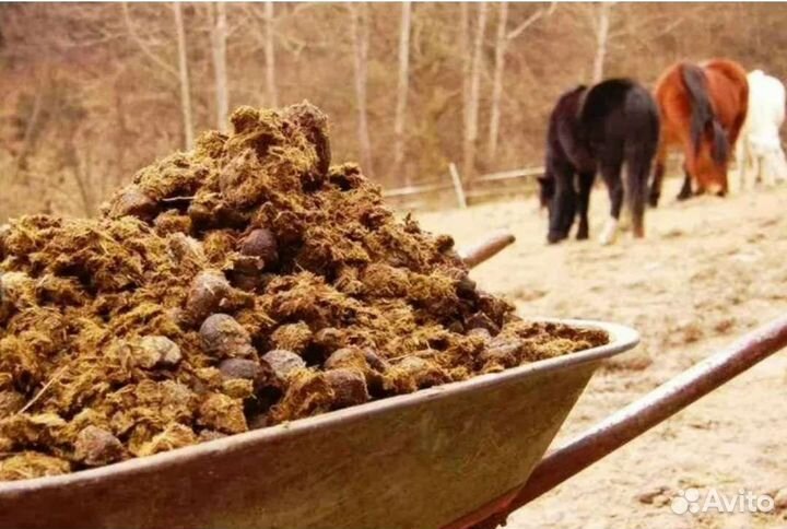 Торф в мешках навоз