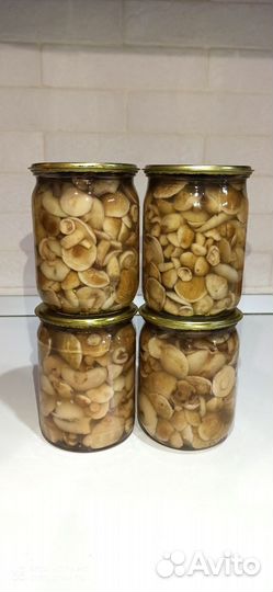 Маринованные грибы