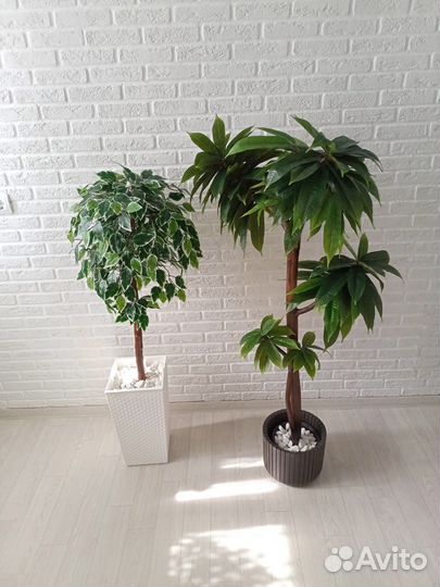 Искусственное дерево/Манго/Фикус