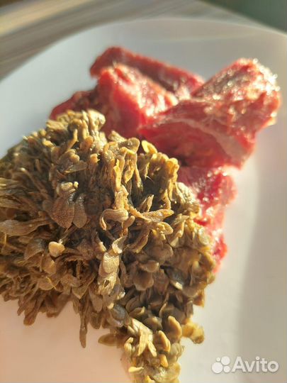 Мясо для животных (говядина, баранина)