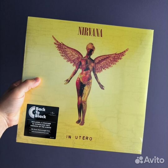 Виниловые пластинки группы Nirvana