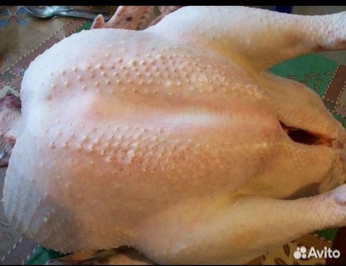 Мясо курицы