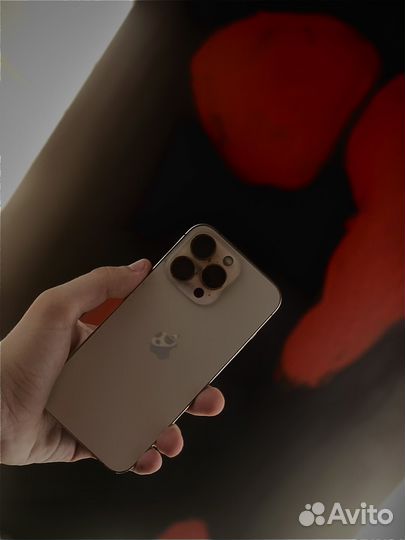 iPhone 13 Pro, 256 ГБ