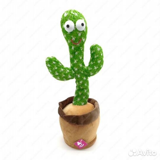 Танцующий чебурашка, кактус