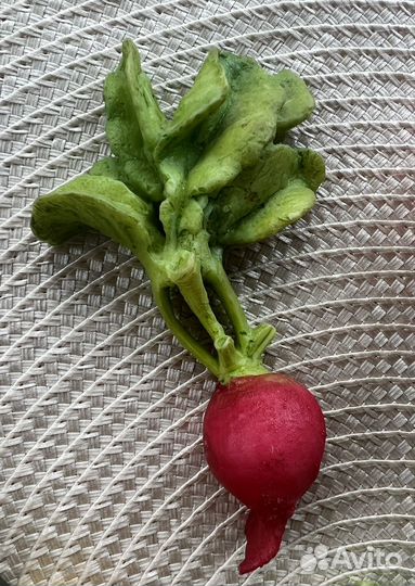 Магниты на холодильник