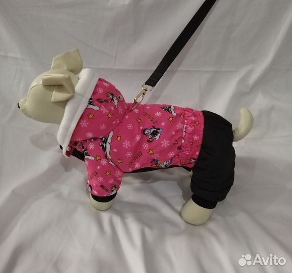 Одежда для собак