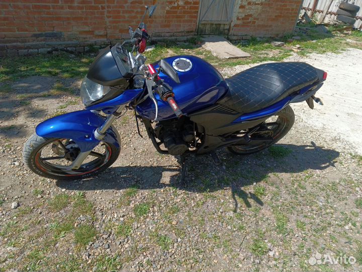Stels flex 250