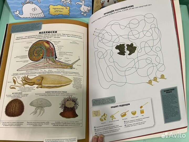 Раскраска рисовалка энциклопедия с наклейками