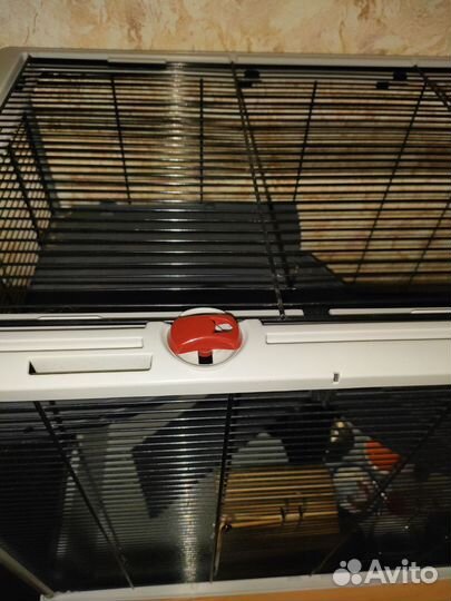 Клетка для грызунов крыс