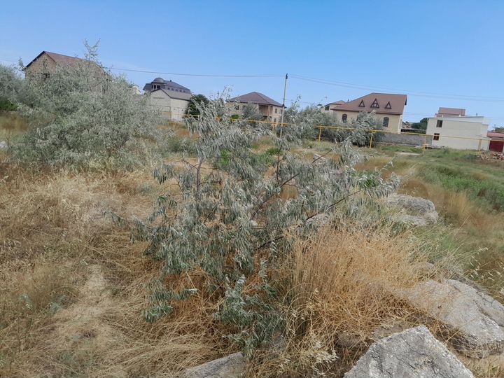 Участок 4,5 сот. (ИЖС)