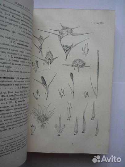 Флора СССР в 30 т.(33 книги)