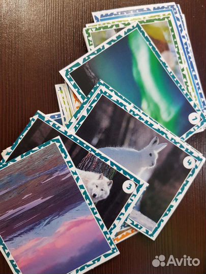 Наклейки живая планета