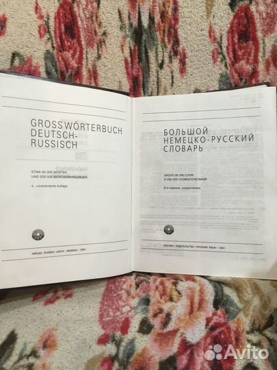 Большой немецко русский словарь