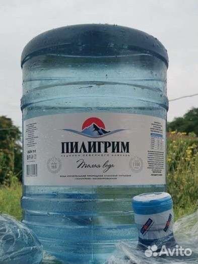 Пилигрим талая вода