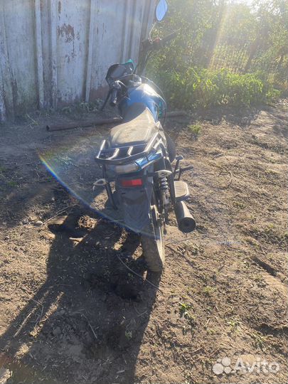 Alpha rs 12