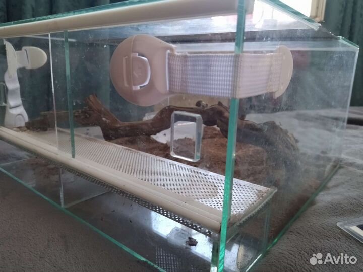 Террариум для рептилий бу