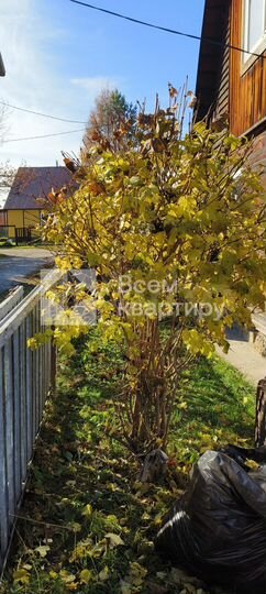 Дом 50 м² на участке 4 сот.