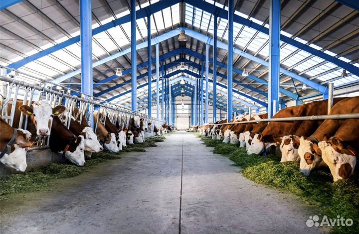 Работник на ферму