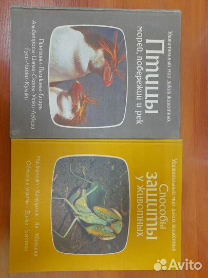 Удивительный мир диких животных