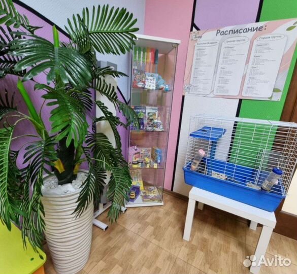 Мини - садик на 5 часов (3 филиала)