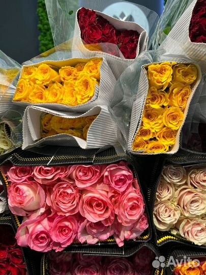 Тюльпаны оптом/тюльпаны с доставкой