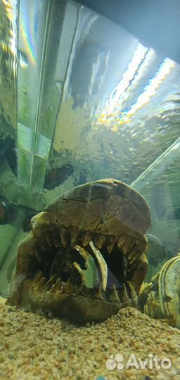 Аквариум с тумбой