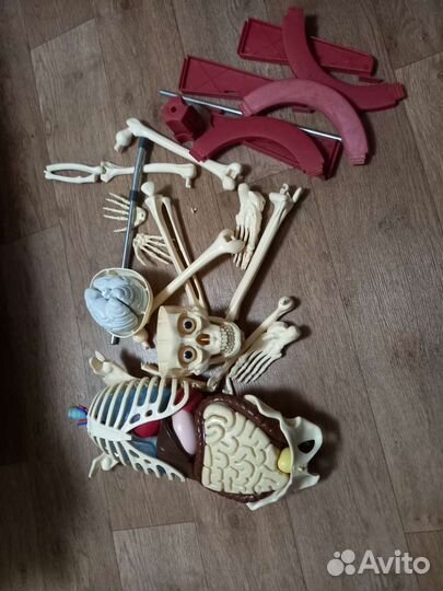 Скелет макет Артем