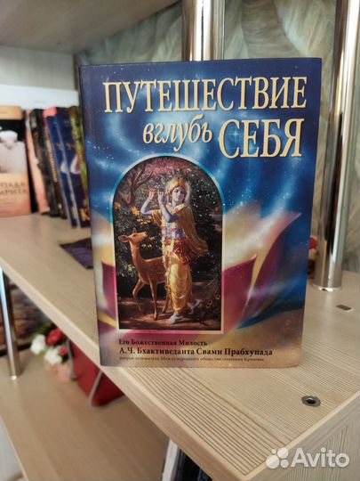 Книга Путешествие вглубь себя