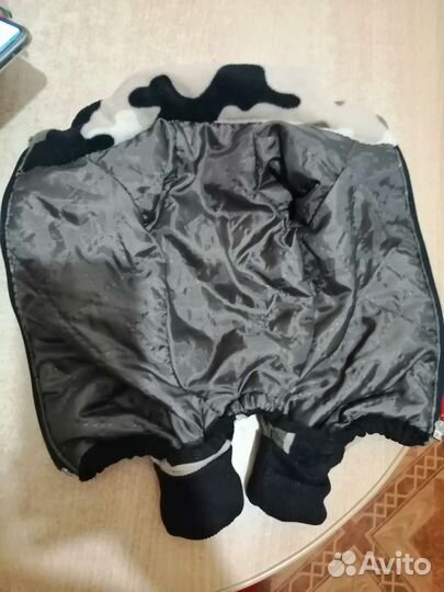 Вещи для маленьких собак