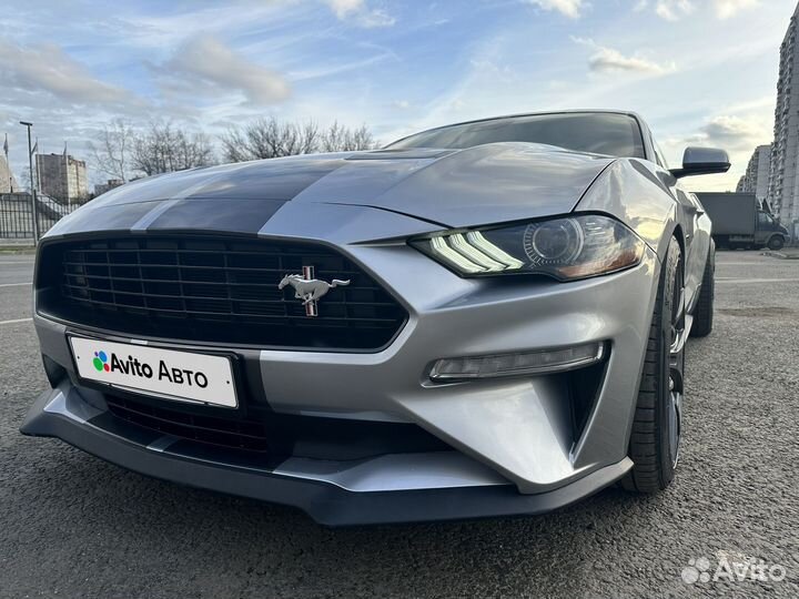 Ford Mustang 2.3 МТ, 2021, 19 000 км