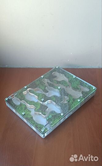 Дополнительная система ходов к муравьиной ферме