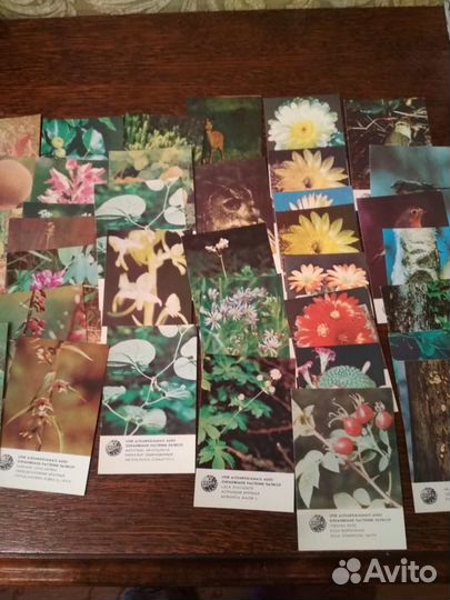 Календарики карманные 1976-1993 гг. СССР