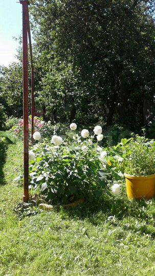 Дом 74,8 м² на участке 6,6 сот.