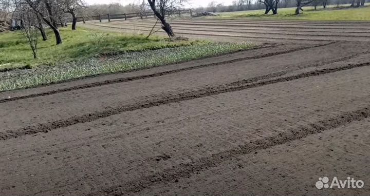 Почвофреза 1GQN 220, 2023