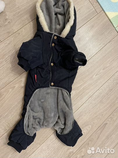 Комбинезон для собаки