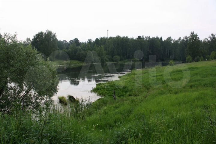 Участок 100 сот. (СНТ, ДНП)