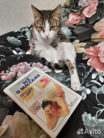 Книга о массаже с иллюстрациями