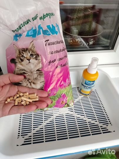 Лоток для котят, наполнитель, спрей