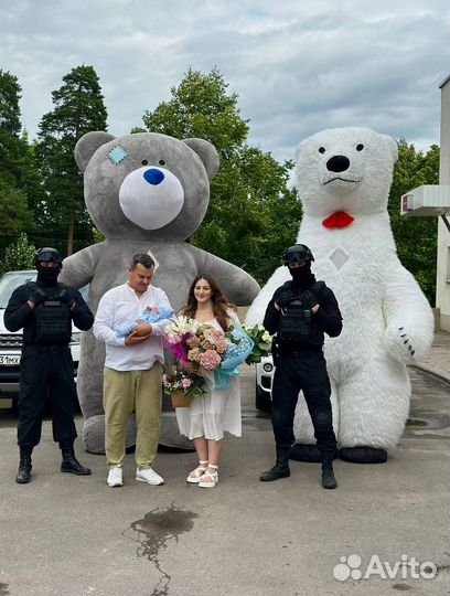 Поздравление Тедди, Me To You, Медведь, Панда