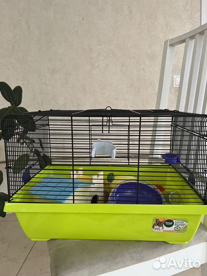 Клетка для джунгарика