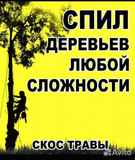 Валка деревьев