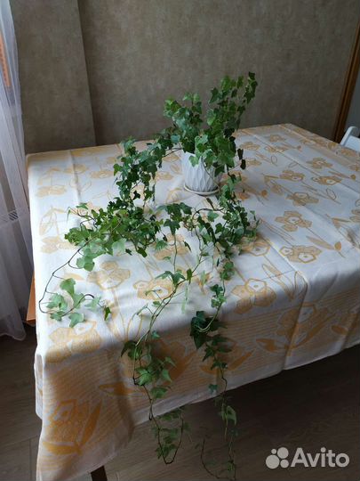 Скатерть лен 150*145