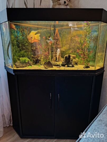 Аквариум угловой с тумбочкой