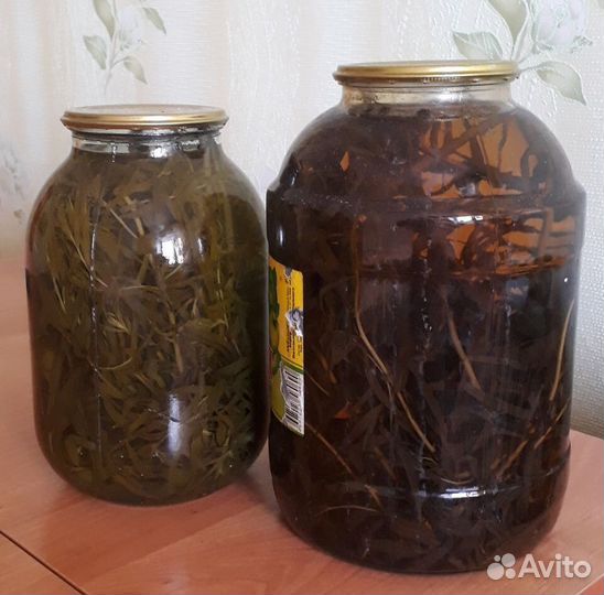 Эстрагон тархун