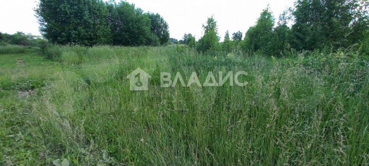 Участок 11,3 сот. (ИЖС)