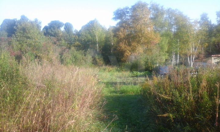 Дом 53,5 м² на участке 24,3 сот.