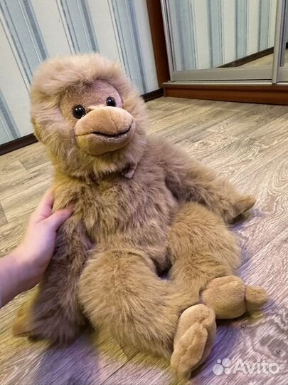 Обезьяна из Африки