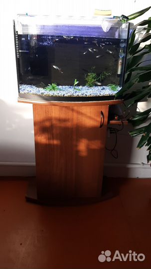 Аквариум