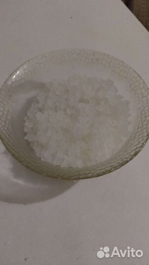 Индийский морской рис зооглея