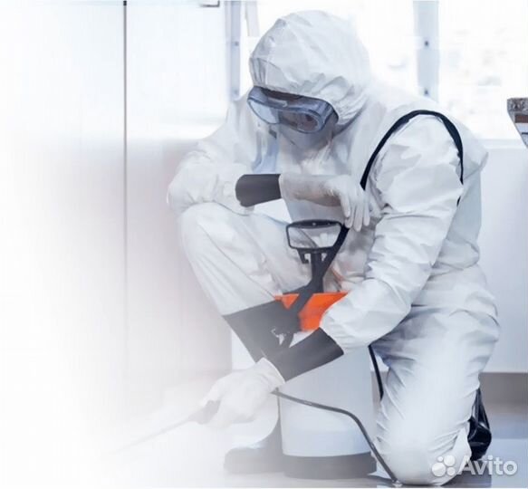 Обработка от клопов,тараканов